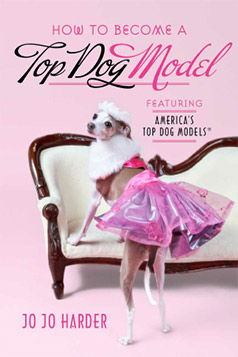 Become a Top Dog Model