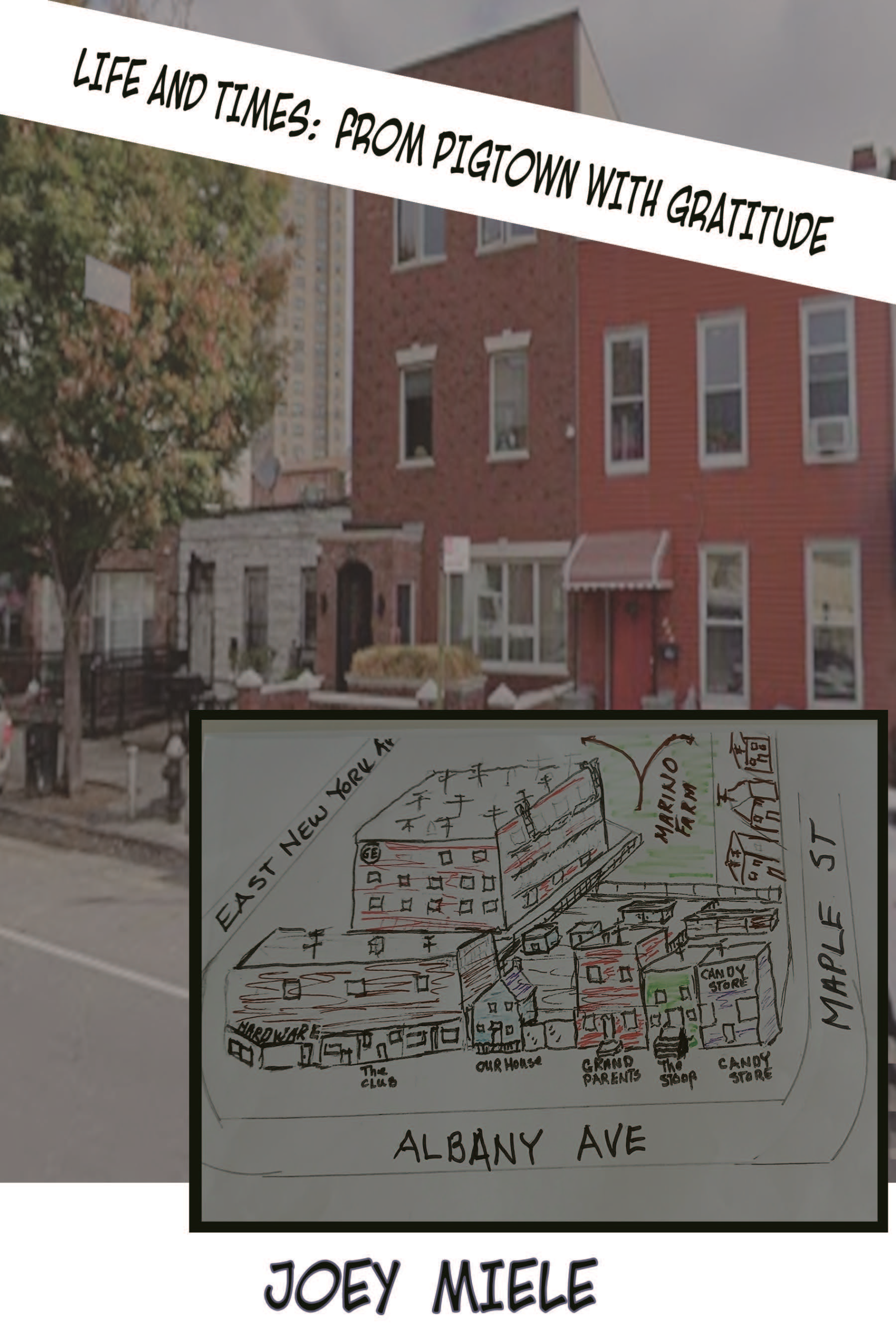 Life and Times: From Pigtown With Gratitude book cover